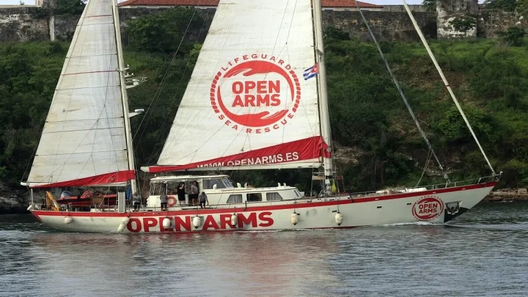 cub 3_jpg 768x432