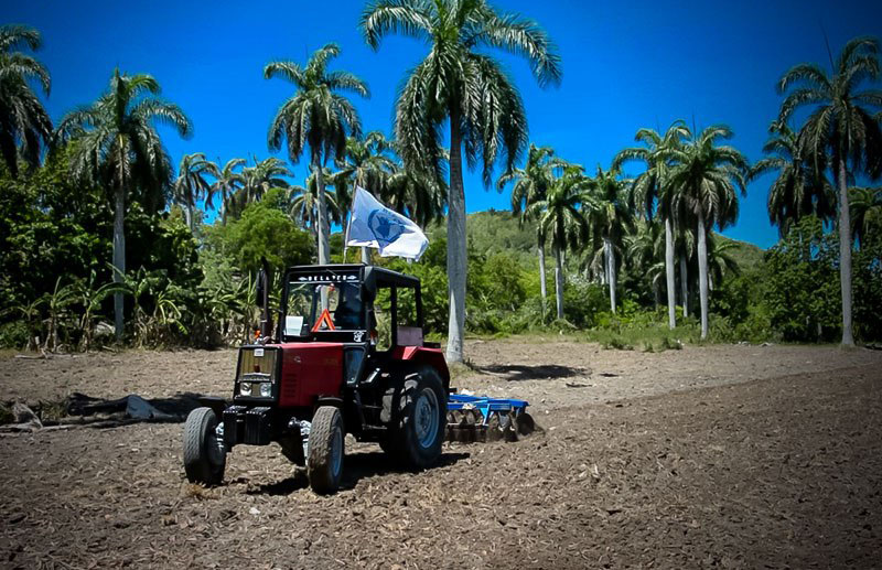 Proyecto de seguridad alimentaria en Cuba 