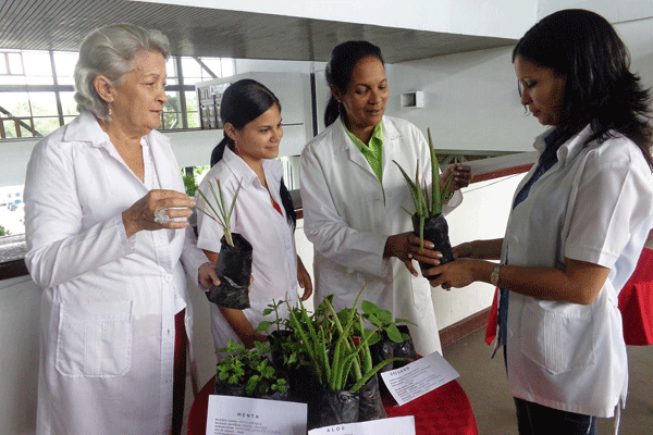 Medicina natural
