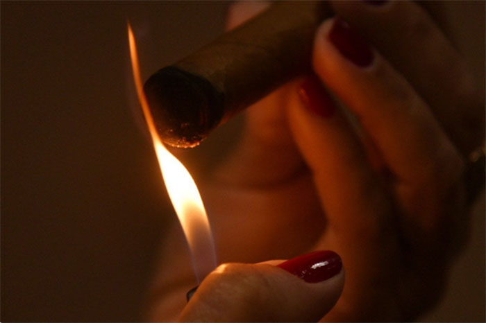 Festival del Habano Festival del Habano