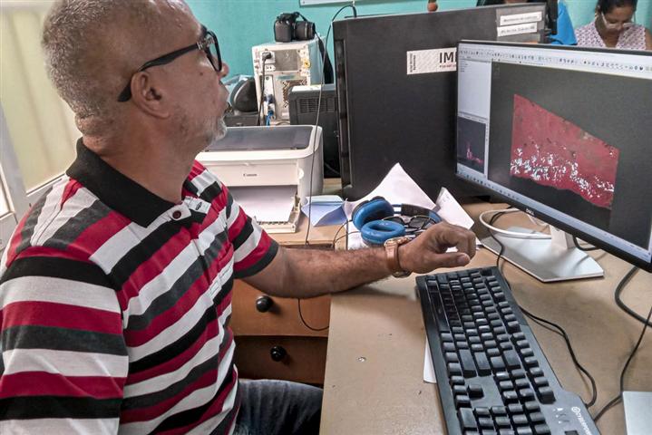 Ciencia y producción agrícola de la mano en el oriente de Cuba Ciencia y producción agrícola de la mano en el oriente de Cuba