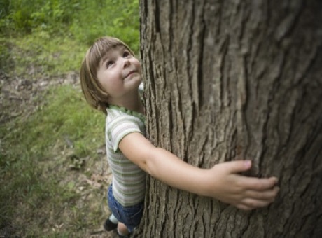 Niño abrazando un árbol Niño abrazando un árbol