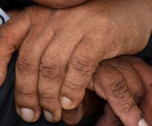 Código de las Familias Código de las Familias