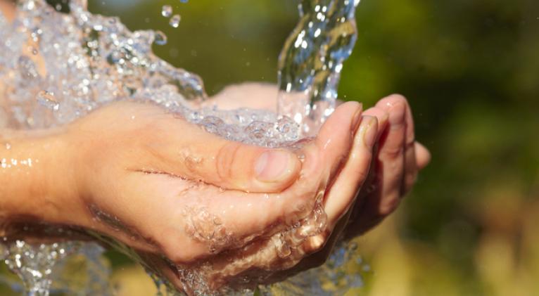 Agua Agua