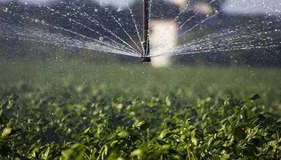 Suelos y el uso de fertilizantes Suelos y el uso de fertilizantes