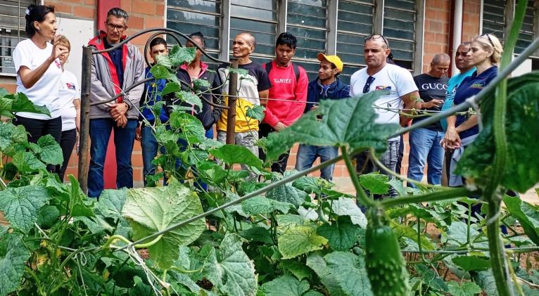 Esfuerzo cubano por sembrar con-ciencia en Venezuela Esfuerzo cubano por sembrar con-ciencia en Venezuela